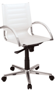 Swivel Office