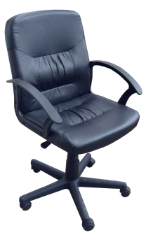 Mini Executive Chair